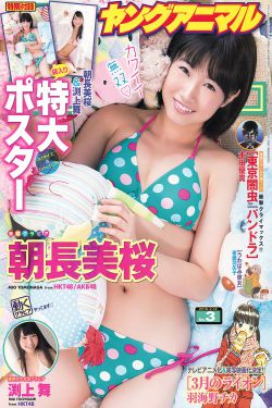 爱情而已电视剧免费观看全集高清